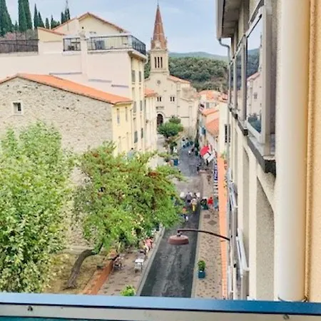 Renove Avec Balcon, Ascenseur, 2 Couchages A Amelie-les-bains, Animaux Acceptes - Fr-1-703-70 Apartment