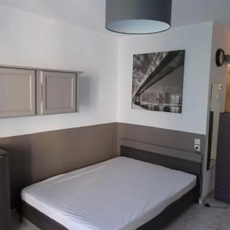 Renove Avec Balcon, Ascenseur, 2 Couchages A Amelie-les-bains, Animaux Acceptes - Fr-1-703-70 Apartment Amelie-les-Bains-Palalda